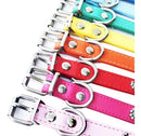 Collar de huellitas piel sintética para razas pequeñas