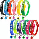 Kit de 12 piezas de collares para razas pequeñas y gatos