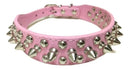 Collar para perros con picos