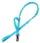 Cinturón/ correa para mascotas