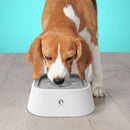 Dispensador de agua flotante