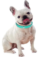 Collar de huellitas piel sintética para razas pequeñas