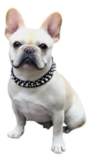 Collar para perros con picos