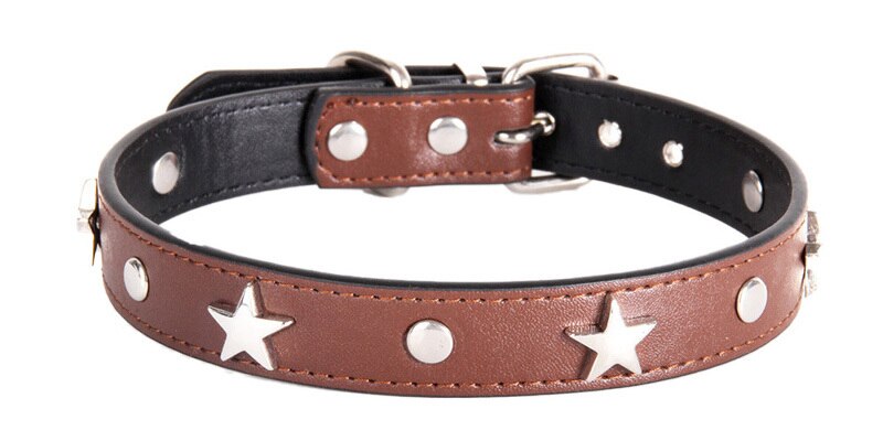 Collar para perro con diseño de estrellas