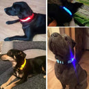 Collar Luz Led Recargable USB Perros y Gatos Paseo Nocturno