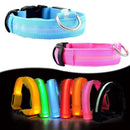 Collar Luz Led Recargable USB Perros y Gatos Paseo Nocturno