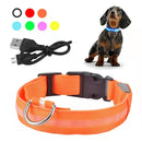 Collar Luz Led Recargable USB Perros y Gatos Paseo Nocturno