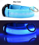 Collar Luz Led Para Perros y Gatos Paseo Nocturno Seguro (Batería De Litio )